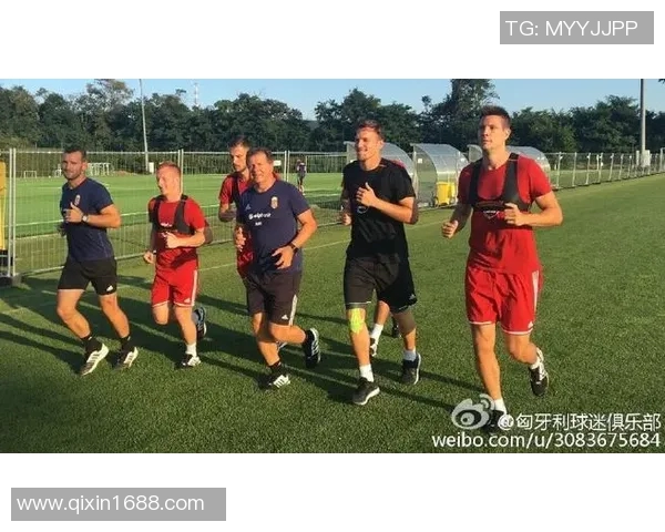 匈牙利与法罗群岛比赛前瞻及胜负预测分析